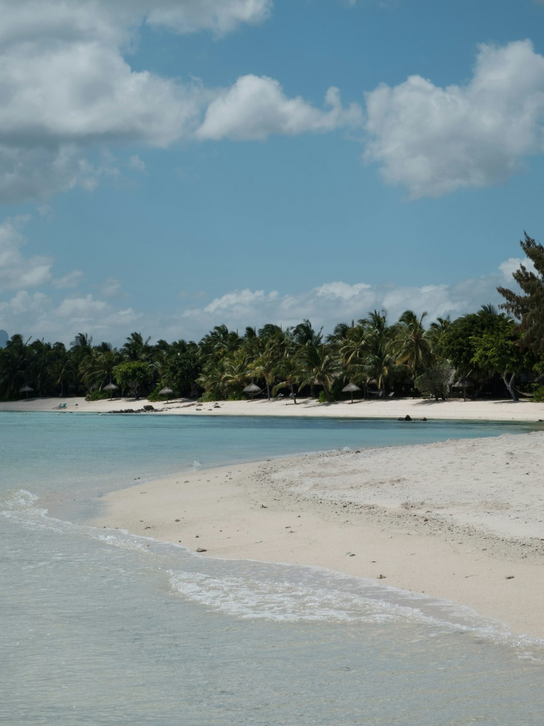 Pristine palm-fringed white-sand beach in Mauritius